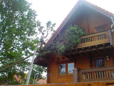 sturmadchdenvorsorge